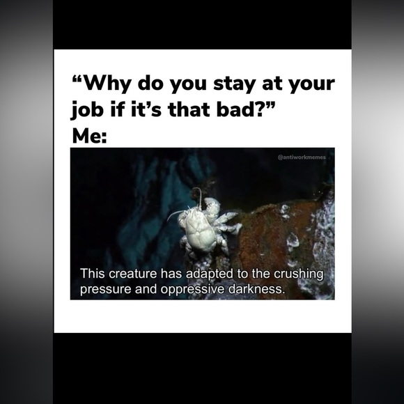 About Me - Picture 6 of 11